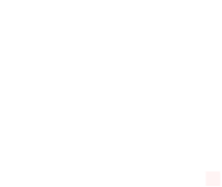 nxdata logo